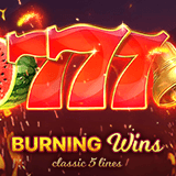 Situs Slot Bet 400 Dijamin Cuan Luber Burning Wins