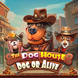 Slot Gacor The Dog House – Dog Or Alive